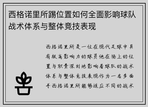 西格诺里所踢位置如何全面影响球队战术体系与整体竞技表现