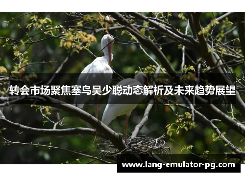 转会市场聚焦塞鸟吴少聪动态解析及未来趋势展望