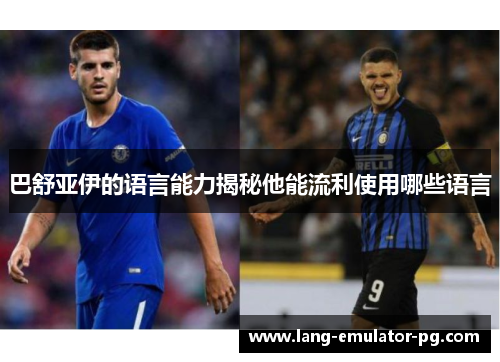 巴舒亚伊的语言能力揭秘他能流利使用哪些语言