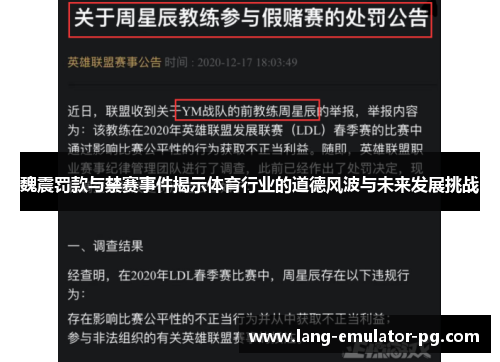 魏震罚款与禁赛事件揭示体育行业的道德风波与未来发展挑战