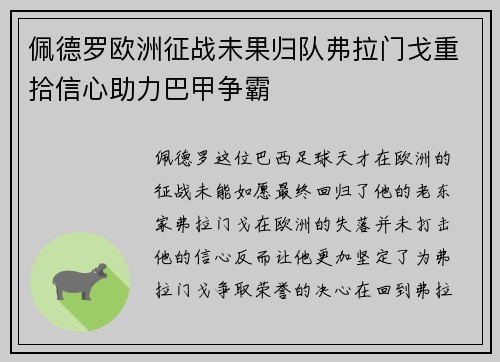 佩德罗欧洲征战未果归队弗拉门戈重拾信心助力巴甲争霸