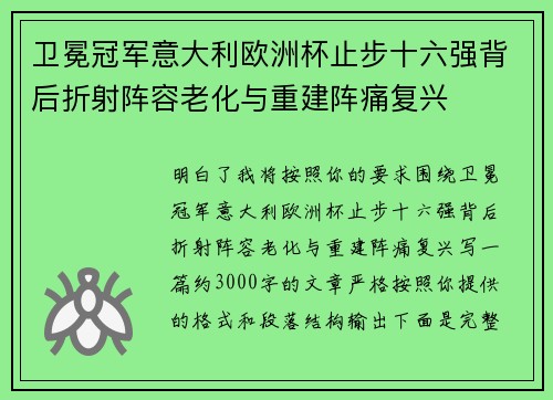 卫冕冠军意大利欧洲杯止步十六强背后折射阵容老化与重建阵痛复兴